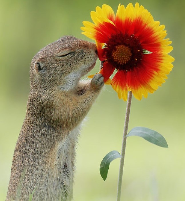 Family Law Firm in Calgary